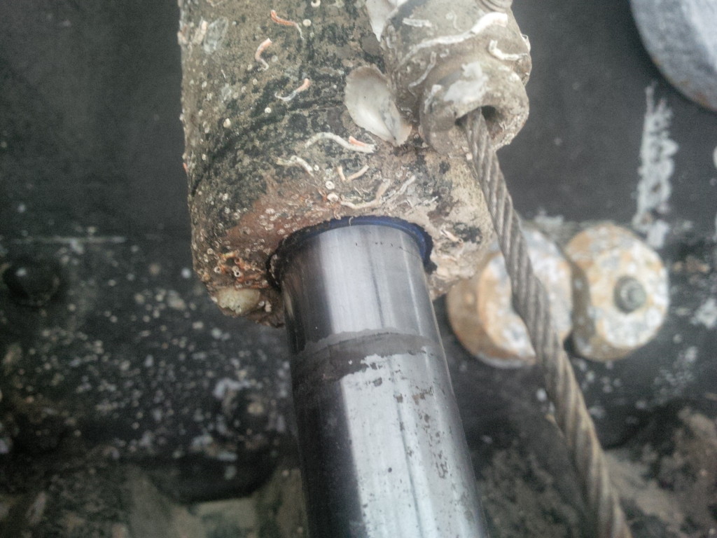 BCS Trim Tabs High Seas Hydraulics